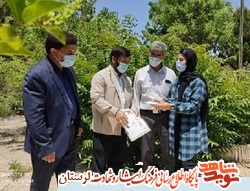 تجلیل از جانباز «علی یوسفی» و فرزندش