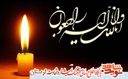 جانباز «نورعلی رحمانپور» آسمانی شد