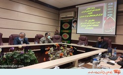 آیین میهمانی لاله&zwnj;ها و چهل چراغ حسینی برگزار می&zwnj;شود