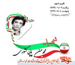 آلبوم تصاویر شهدای عشایر لرستان منتشر شد«1»